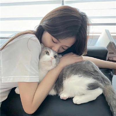 甘蓝仙子