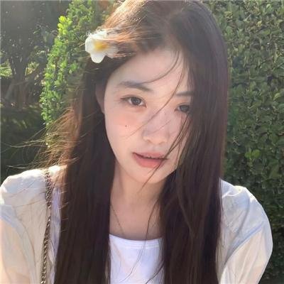 梅花档案